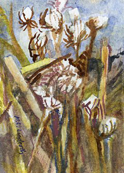 Snow In Weeds Mary Lou Lindroth Rockton IL watercolor  SOLD